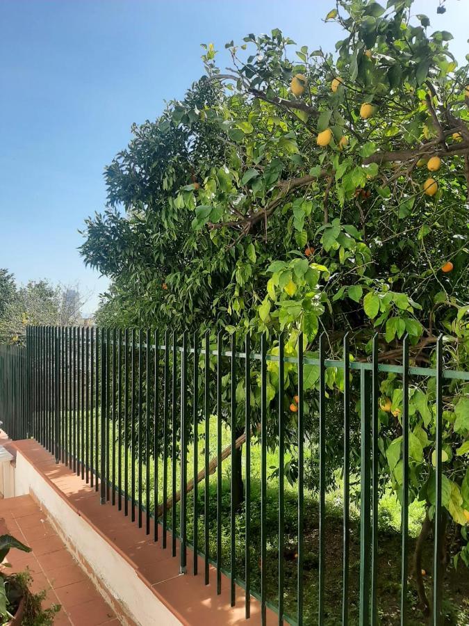 Villa Vesuvius Napoli Ngoại thất bức ảnh